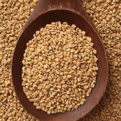 حلبة